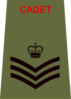 ACF Cadet Rank Slide CSgt.png