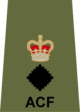 ACF LtCol.png