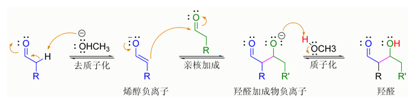键－催化的醛自身发生羟醛反应的机理