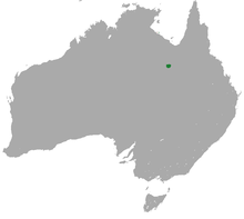 Александрия False Antechinus area.png