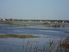 AmbatturEri Lake.JPG