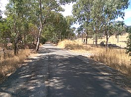 bikeway with trees and paddock in summer