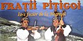 Frații Pițigoi (interpreți și instrumentiști ai Ansamblul folcloric Oașul, 1970-1989)
