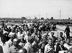 Заключенные Биркенау направляются к баракам в лагере. Jpg