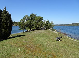 Nordöstra landtungan.