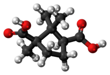 Шаровидная модель молекулы камфорной кислоты