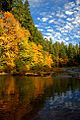 Autumn colors at Cascadia State Park on the South Santiam River.