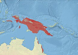 Distribución de los trés especies actuales