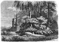 Die Gartenlaube (1870) b 133.jpg Lessing’s Ruhestätte auf dem St. Magni-Kirchhofe in Braunschweig