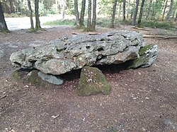 Image illustrative de l’article Dolmen de la Grosse-Pierre