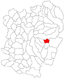 Domașnea – Mappa