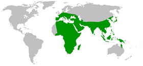 Phân bố của chi Dugesia theo Sluys et al. 1998.[2]