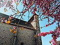 Miniatura per Siran (Cantal)