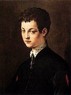 弗朗切斯科·薩爾維亞蒂（英语：Francesco Salviati）的《年輕男子肖像畫》（Ritratto di Ragazzo），58.4 × 46.5cm，約作於1543－1545年，來自吉安·賈科莫·波爾迪·佩佐利的藏品[26]