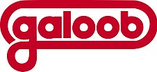 Логотип Galoob.JPG