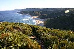 View of Garie Beach from the Royal National Park Coast Trail, looking south