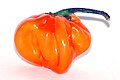 Habanero.jpg