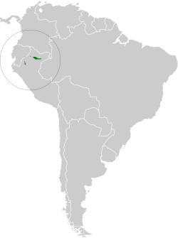 Distribución geográfica del tiluchí antiguo.