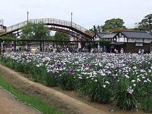 Itako irispark