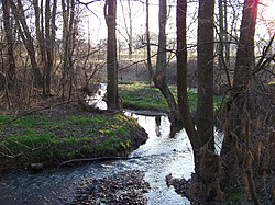Pitkovický potok nedaleko soutoku s Botičem