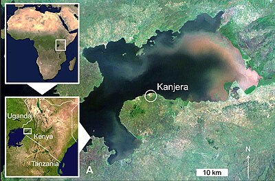 Lage von Kanjera am südlichen Rand vom Winam-Golf, im Nordosten des Victoriasees