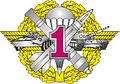 1st grade Specialist Badge