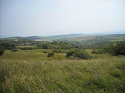 Skyline of Желединци