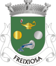 Vlag van Freixiosa