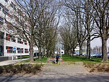 Academie Verloskunde Maastricht