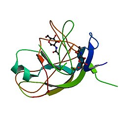 PBB Protein CGB image.jpg