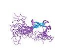 PDB 1pft EBI.jpg