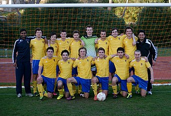 The Men's first XI in 2014 wearing home strip