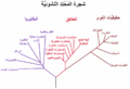 تصغير للنسخة بتاريخ 20:47، 5 نوفمبر 2014