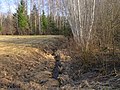 Sīkā Urdziņa, kas sākas tepat Žļaugu purvā