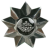 SANDF - INSIGNIA - Rank - Officer - 9 Point Star - SA Army - Chrome, with Protea