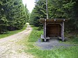 Der Weg führt durch einen Nadelwald. Im Vordergrund am rechten Rand steht auf dem Bild eine Schutzhütte.