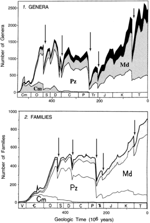 Changes in diversity among genera and families, according to Sepkoski (1997). The "Big Five" mass extinctions are labelled with arrows, and taxa are segregated into Cambrian- (Cm), Paleozoic- (Pz), and Modern- (Md) type faunas. Sepkoski 1997 extinction graphs.png