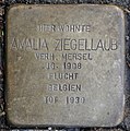 Stolperstein für Amalia Ziegellaub (Thieboldsgasse 102)