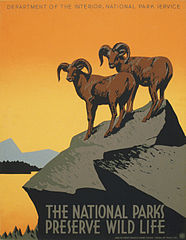 National Park Service poster designed by J. Hirt