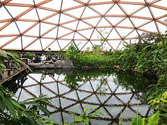 Tropischer Schmetterlingsgarten Amazonica