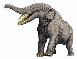 Amebelodon