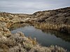 Upper Ana River habitat near Summer Lake, Oregon