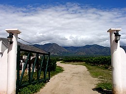 Виноградники і гори Сальти