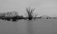 Spoorbrug tijdens hoogwater