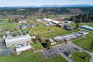 An aerial view of the school's entire campus.