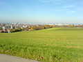 Aussicht auf die Gemeinde Binningen, im Hintergrund Basel