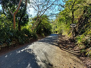 PR-139R south in Barrio Machuelo Arriba