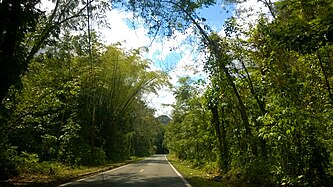 Heading west in Frontón, Ciales