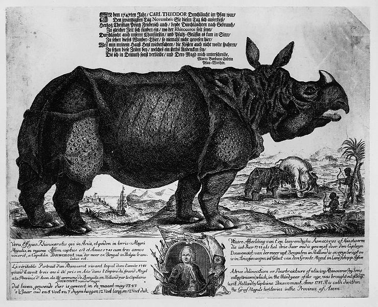 Clara, il rinoceronte; Mannheim, 1747