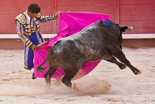 Corrida In Arles 2009-04-13.jpg